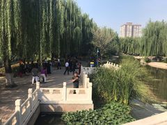 -丰台科技园生态主题公园