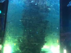 -青岛嘉年华主题乐园