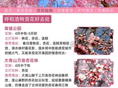 -乌素图国家森林公园