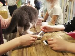 -小时光咖啡馆(开森度假森林店)