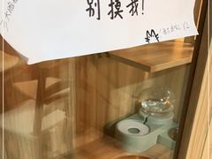 -白兔子密室(长寿路店)