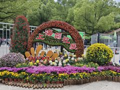 -上海共青森林公园