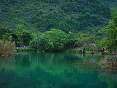 -靖西鹅泉风景区