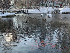 -水磨沟公园