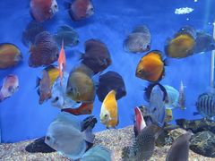 -海底捞火锅(青悦城店)