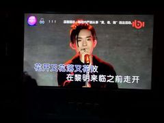 -INLOVE KTV(文一店)