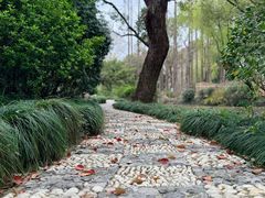 -上海醉白池公园