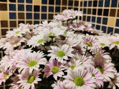 -绝城芋儿鸡(犀浦旗舰店)