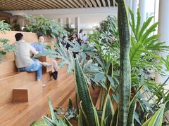 -Seesaw Coffee(朝阳大悦城店)