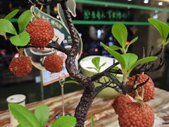 -椿记烧鹅(叠彩店)