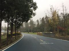 -夏河溪乡野公园