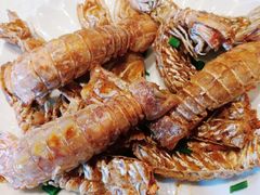 -抱德·潮汕味(敦和店原惠城鱼仔)