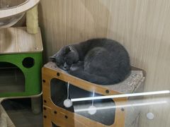 -网鱼网咖·电竞(南开百脑汇店)