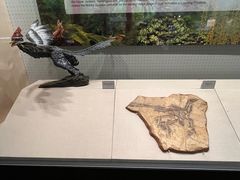 -辽宁古生物博物馆