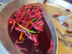 -小龙坎火锅(春熙太古里店)