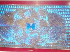 -上海昆虫博物馆