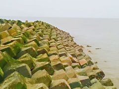 -南汇嘴观海公园