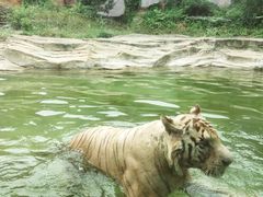 -杭州野生动物世界