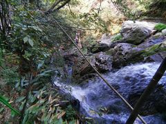 -藏龙百瀑风景区