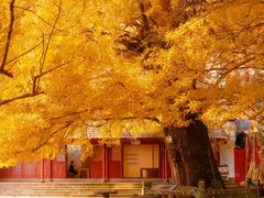 -大慈岩风景区