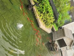 -行者书屋大堂吧 ·下午茶(南京圣和府邸酒店)