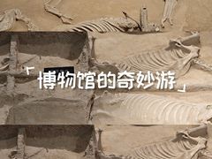 -洛阳周王城天子驾六博物馆