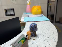 -半岛宠物医院24小时(白果林店)