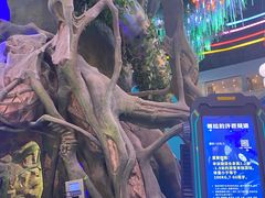 -弘阳·未来世界(弘阳广场店)