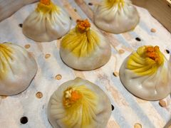-比斯特上海购物村精品奥特莱斯