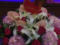 -BLACKSWAN黑天鹅(环球店)