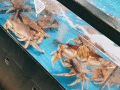 -盒马X会员店(王府井奥莱UP TOWN店)
