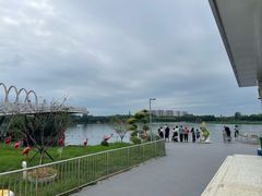 -大兴滨河森林公园