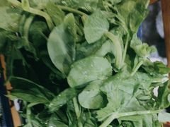 -有一锅·野生菌黑山羊腊排骨火锅(古城北门店)