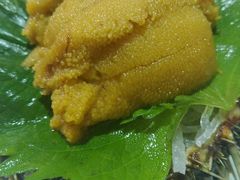 活海胆刺身-有喜屋·深夜食堂(北京西路店)