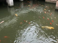 -金庸书院
