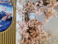 -南京Hallo宠物乐园·哈罗犬舍·柴犬繁育基地