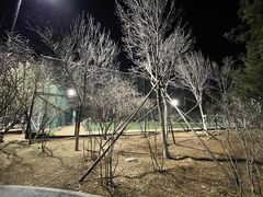 -回龙观体育文化公园