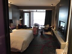 -南京禄口机场雅高铂尔曼大酒店