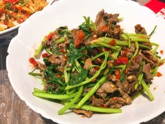 -壹盏灯(惠农店)