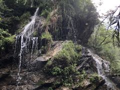 -少华山国家森林公园