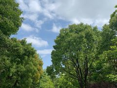 -上海吴淞炮台湾国家湿地公园