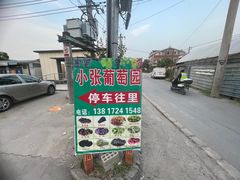 -马陆小张葡萄园农家乐