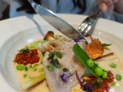 -蝶舍·MAISON PAPILLON