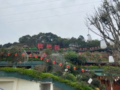 -枇杷园食为鲜火锅(南山店)