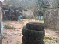 -东湖小天池真人CS彩弹野战基地