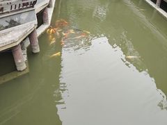 -龙潭水乡