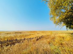 -野鸭湖国家湿地公园