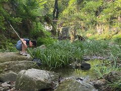 -素山寺森林公园