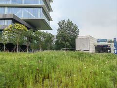 -北沙滩(地铁站)