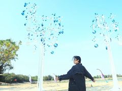 -北海金海湾红树林生态旅游区